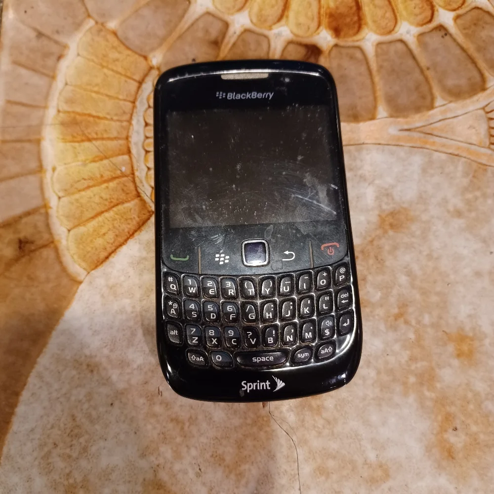 Spring Blackberry curve 8520